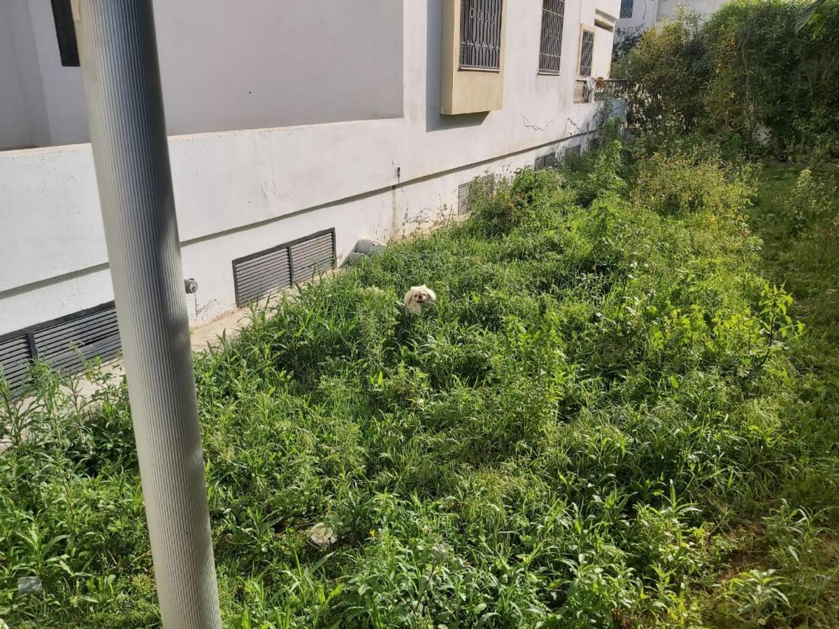 Ideal Appart Ain Zaghouan Tunis El Aouina Exterior photo